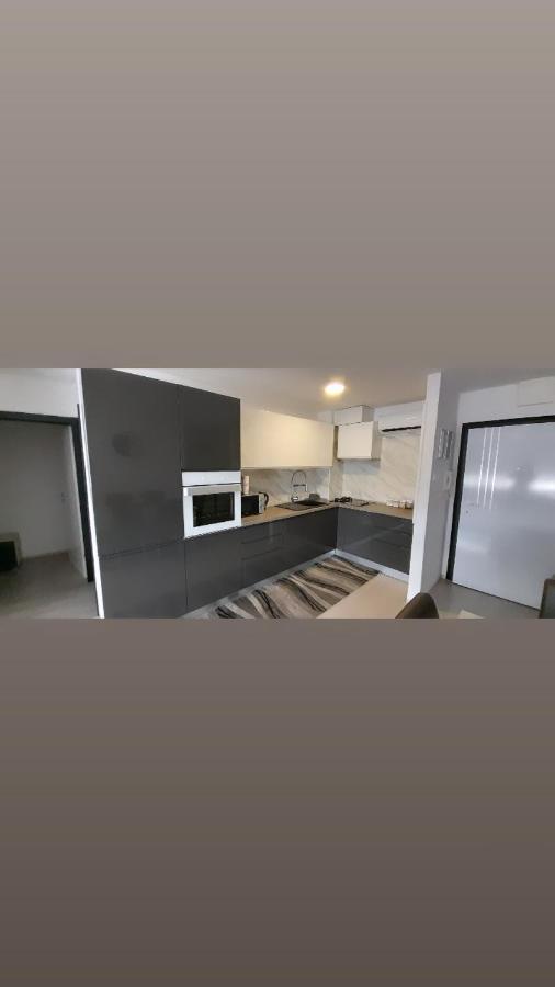 קארלובץ Apartman Lela מראה חיצוני תמונה
