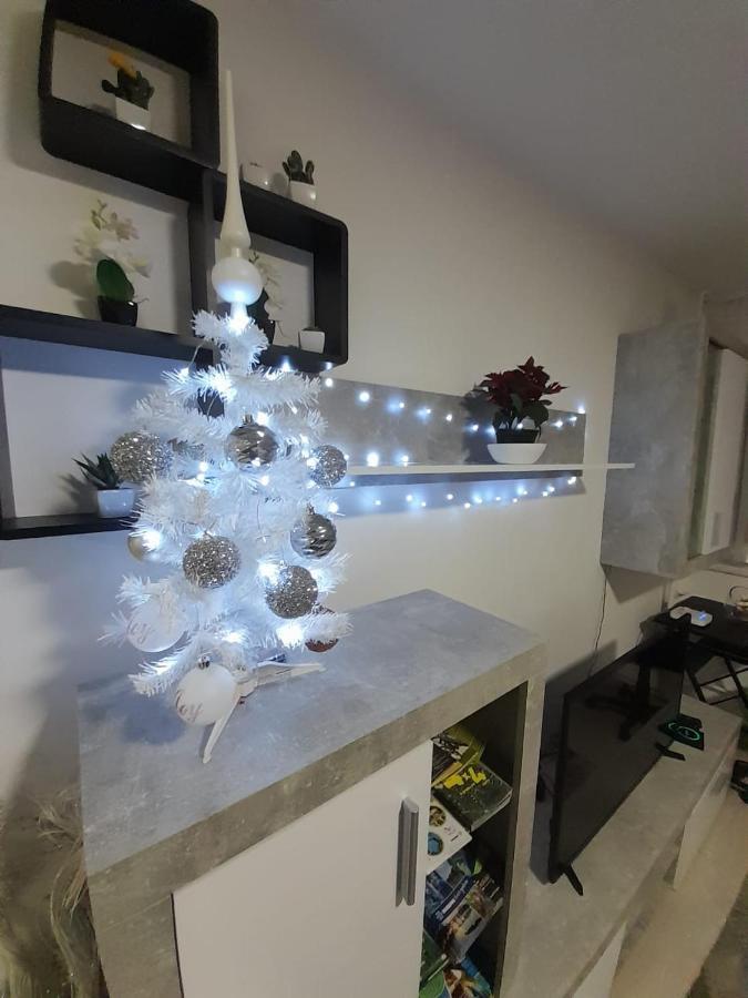 קארלובץ Apartman Lela מראה חיצוני תמונה