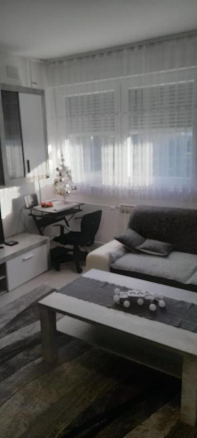 קארלובץ Apartman Lela מראה חיצוני תמונה